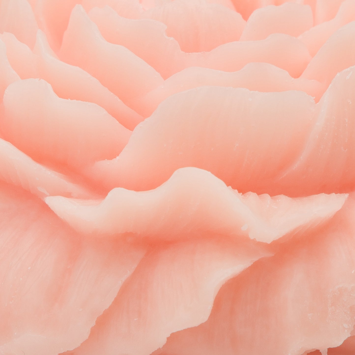 Handmade Custom Logo Flower Art Scented Candle